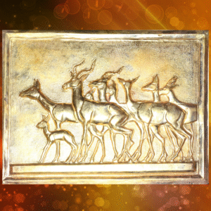 brass plate / shield mementos